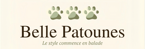 belle patounes harnais 